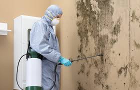 Best Mold Removal for HVAC Installations  in Gunnison, UT